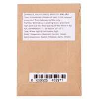 Sandveld Seeds Kale Halbhoher